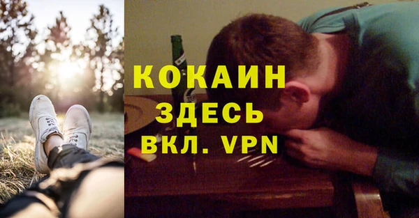PSILOCYBIN Горняк