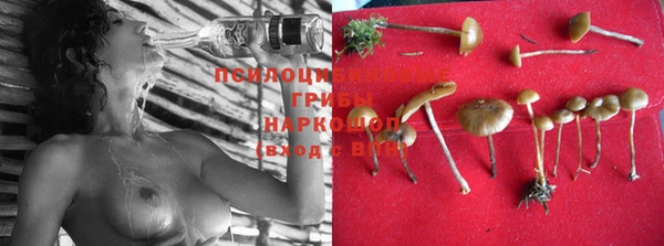 бошки Верхний Тагил
