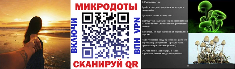 ОМГ ОМГ tor  Зеленоградск  Галлюциногенные грибы MAGIC MUSHROOMS 